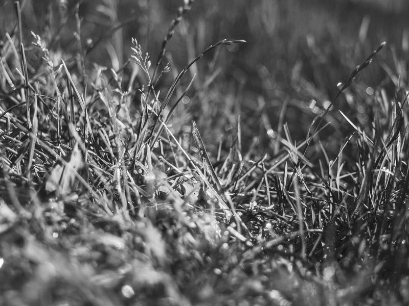 sudoku windows app screenshot 5