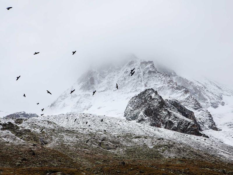 sudoku windows app screenshot 1